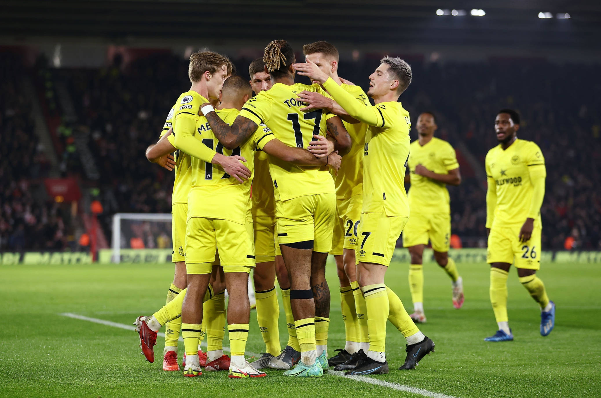 还是观赏特 还是观赏特