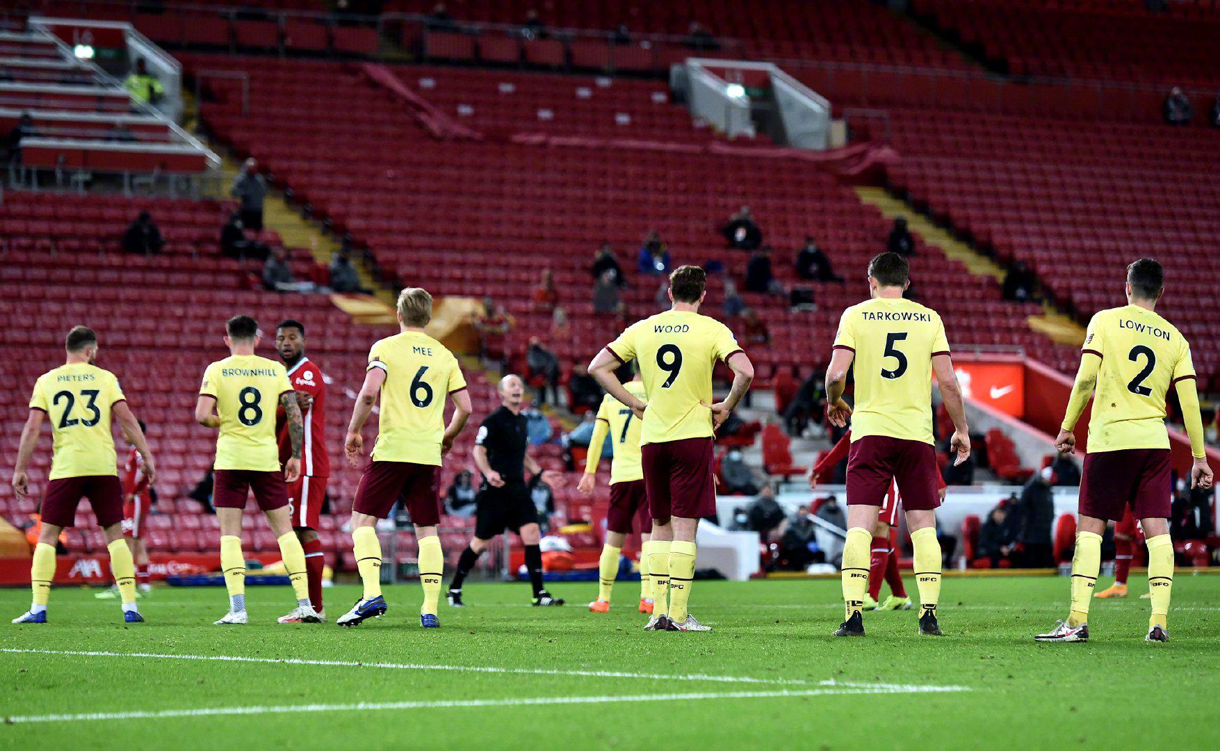 树木潜在的 树木潜在的